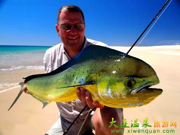 獐子島旅游攻略